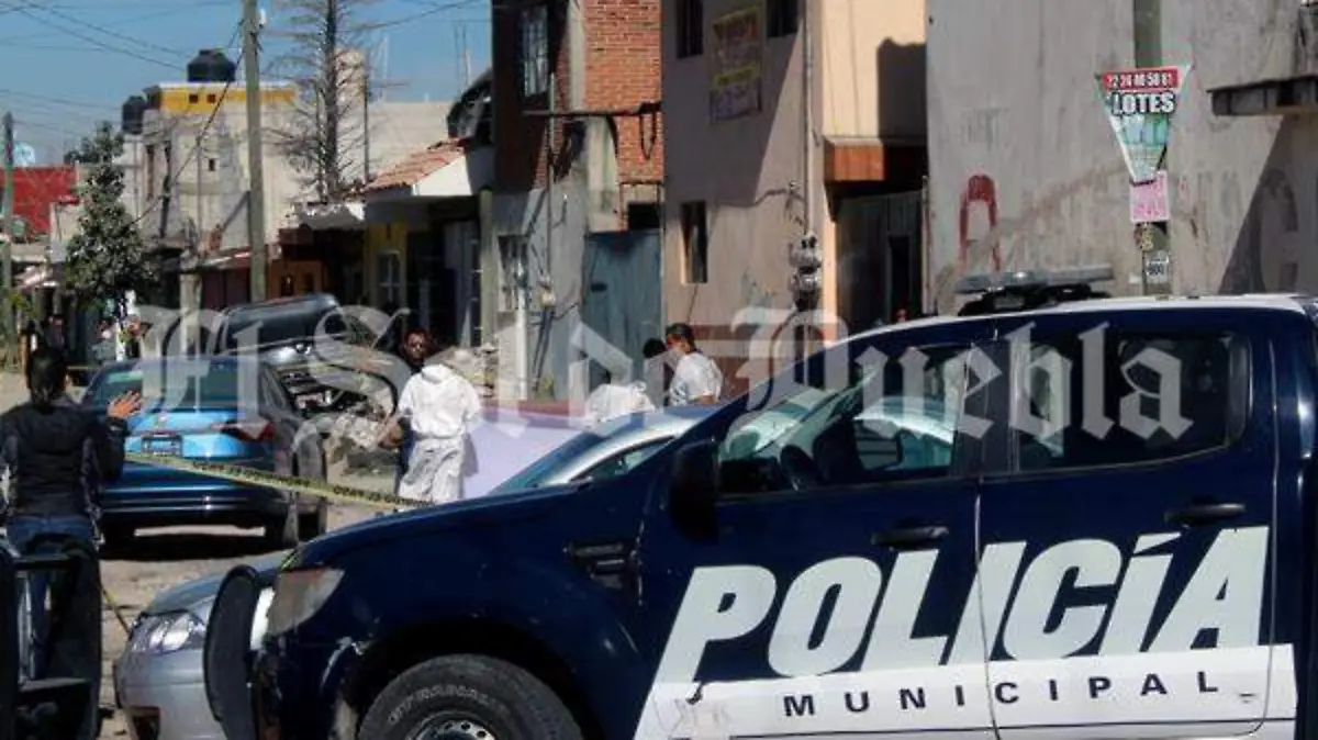 ACRIBILLADO EN BOSQUES DE SANTA ANITA (7) que